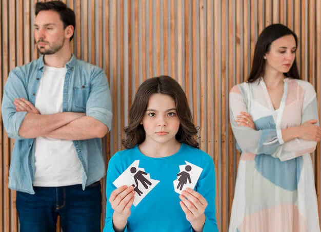 Creating Sustainable Agreements Through Guided Divorce Negotiations Brigg